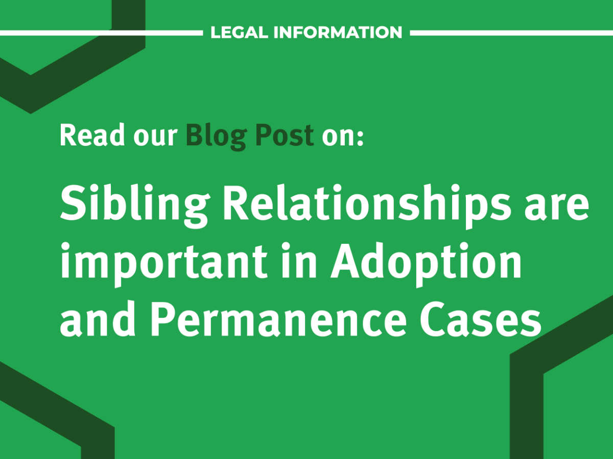 SL-Sibling-Relationships-are-important-in-Adoption-and-Permanence-Cases.jpg