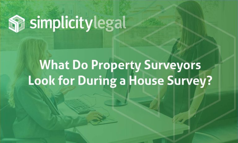 What Do Property Surveyors Look for During a House Survey?